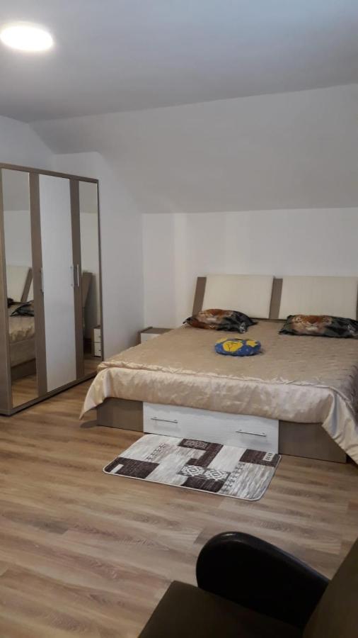 Apartmán Casa Mariana Căpăţîneni-Ungureni Exteriér fotografie