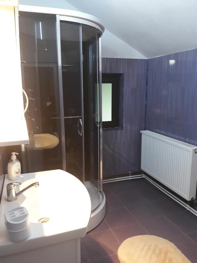 Apartmán Casa Mariana Căpăţîneni-Ungureni Exteriér fotografie