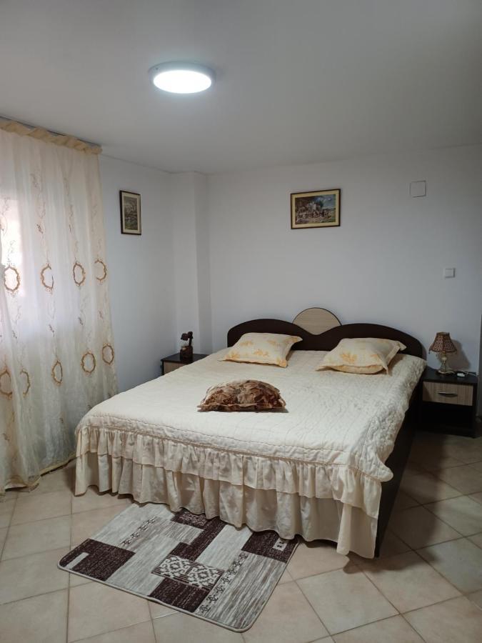 Apartmán Casa Mariana Căpăţîneni-Ungureni Exteriér fotografie
