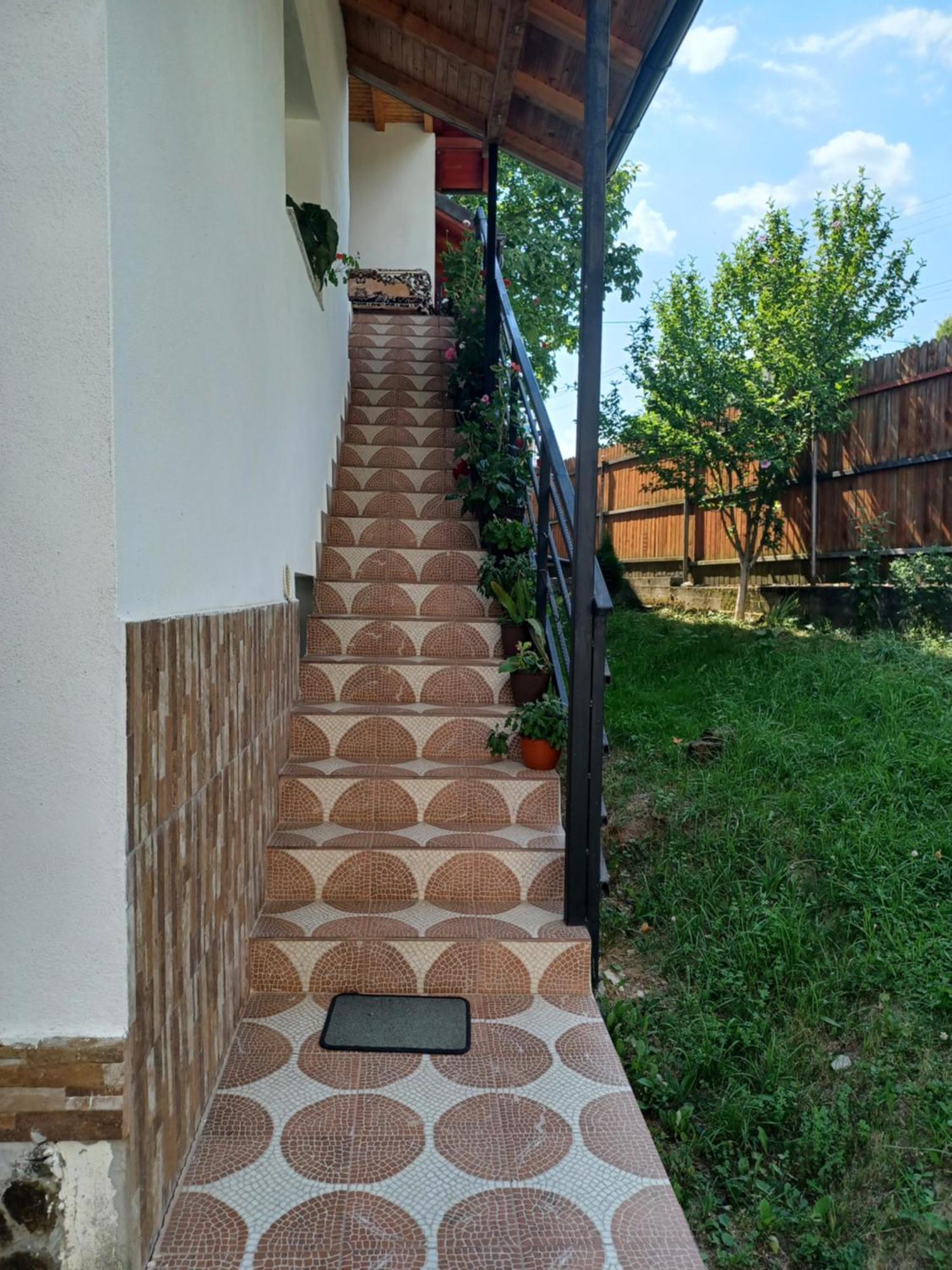 Apartmán Casa Mariana Căpăţîneni-Ungureni Exteriér fotografie